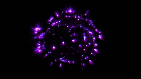 kirlian photography of cross-section of squash