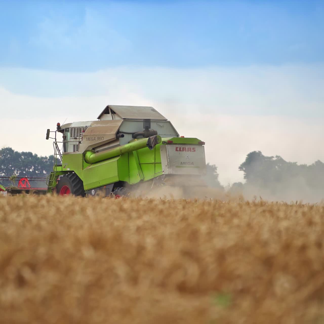 Countryside harvester machine in field. Combine harvesting in golden wheat landscapes