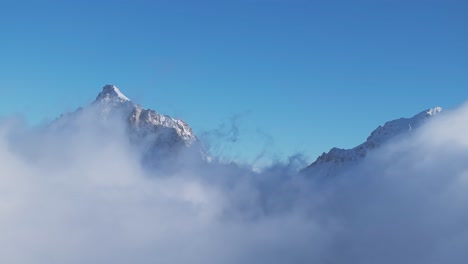 Pinos-Helados-Emergen-De-La-Niebla-Invernal