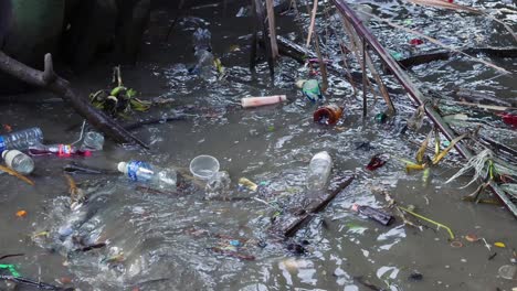 trash and debris cluttering a stagnant water body