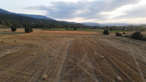 Harvest-Time-Rural-Areas