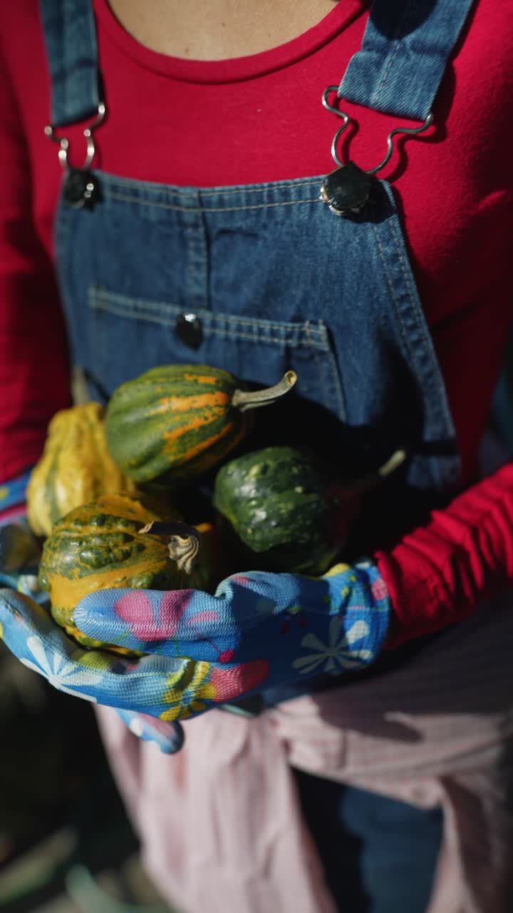 mujer con pequeñas calabazas en guantes de jardín