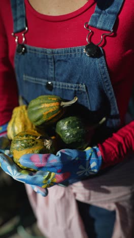 woman holding small gourds in garden gloves