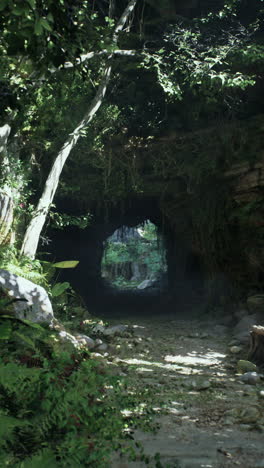 a path leading through a dark tunnel in a lush green forest