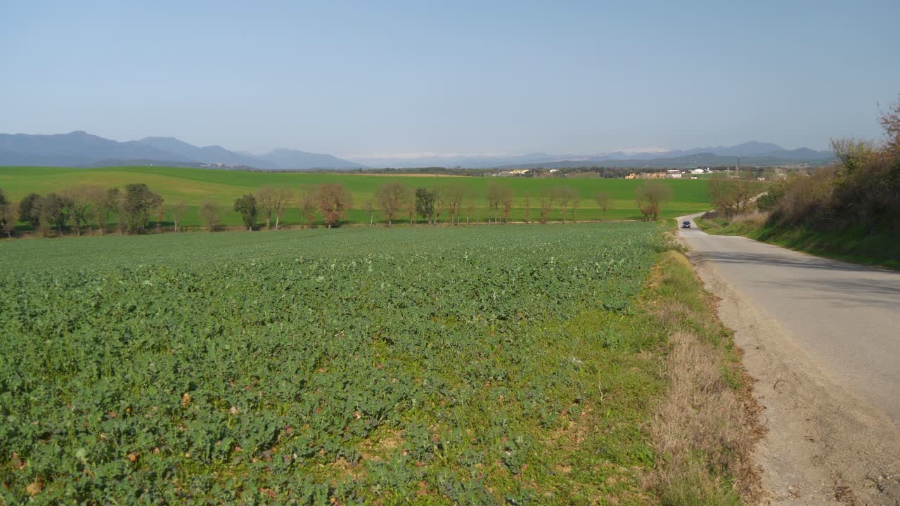 hermoso campo verde recién sembrado con cielo azul y árboles en el fondo y montañas