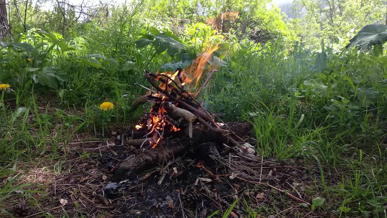 Et lille bål i en bjergskov