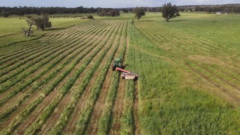 sobrevuelo aéreo que muestra el tractor cortando hierba del campo agrícola en un día soleado