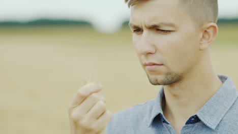 Porträt-Eines-Erfolgreichen-Jungen-Bauern,-Der-Weizenähren-In-Der-Hand-Hält