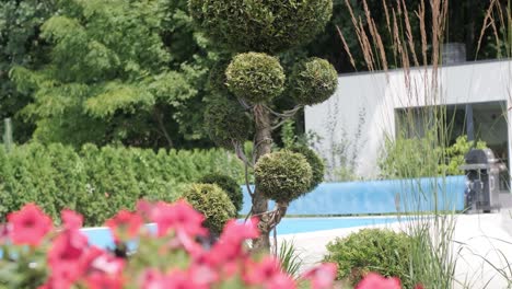 diseño de paisajes con camas de flores en el jardín de la casa, hermoso paisajismo en el patio trasero de la casa residencial. vista panorámica de bonito jardín paisajístico, paisaje de lujo patio atrás en verano. tema de la naturaleza.