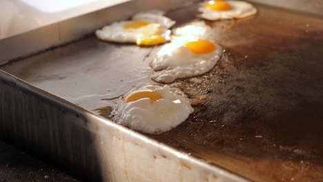 a lot of eggs are fried on a large professional oven in the hotel restaurant.