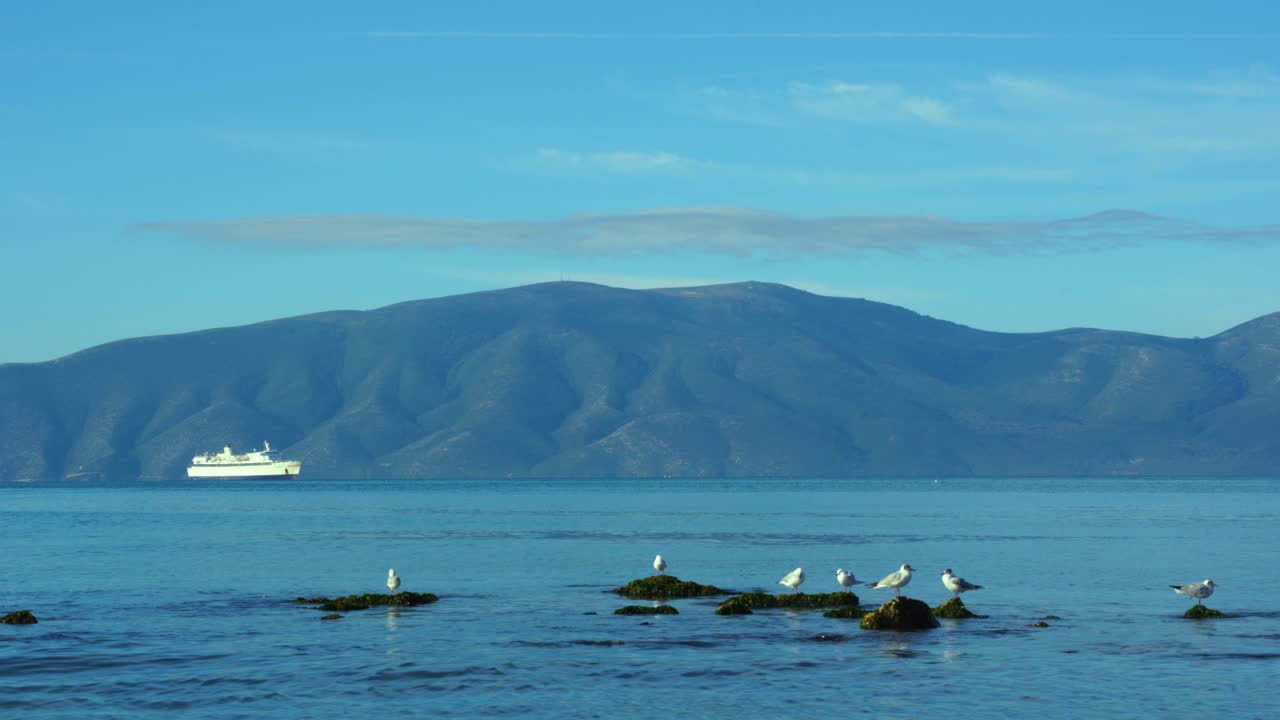 해가 뜰 때 하얀 배와 산을 배경으로 바다 해안의 얕은 물 위에 바위에 서 있는 갈매기