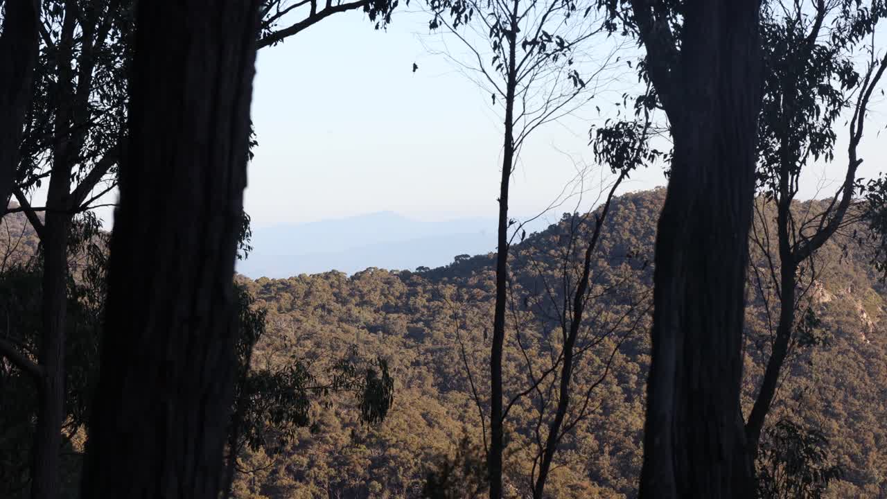 una vista del monte buller desde el monte samaria en victoria australia