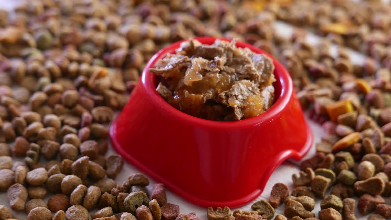 손으로 은 반려동물 음식을 테이블에 놓으십시오.