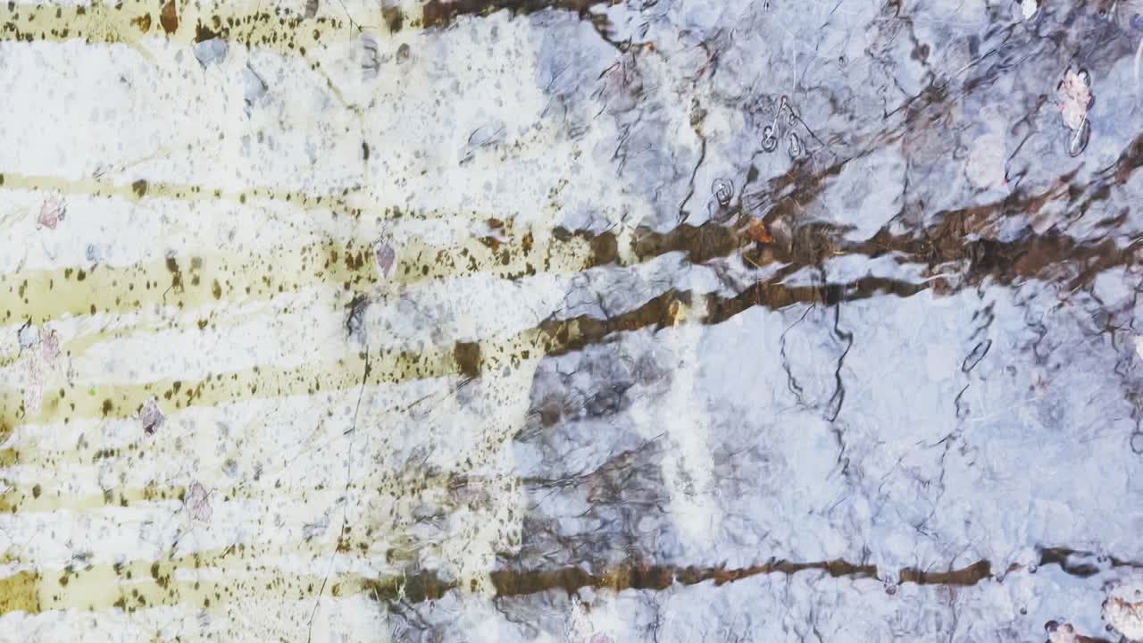 숲에서 봄이 시작되고, 나무가 물 속에 서 있고, 은 날, 물 위에 빛과 반사, 나무 줄기가 웅이에서 반사되고, 하천이 흐르고, 눈이 숨겨져 있습니다.