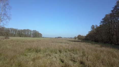 an einem sonnigen tag über ein feld mit gras und laub fliegen