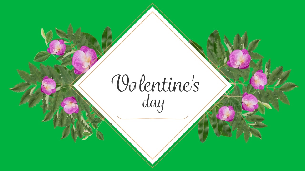 Border opening, diamond forming, buds growing, revealing Valentine's, shrinking to dot on clear bg