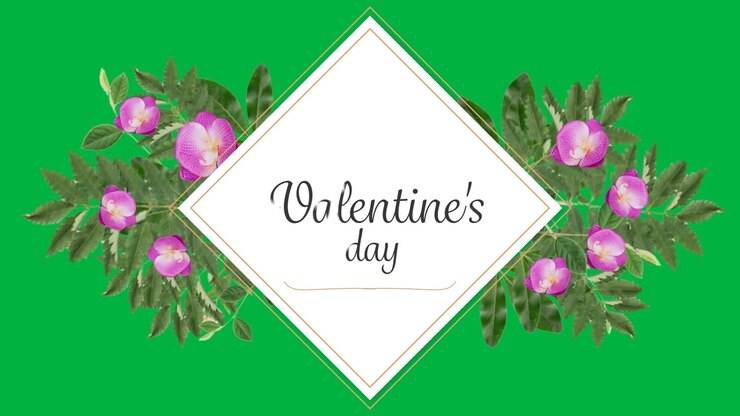 Border opening, diamond forming, buds growing, revealing Valentine's, shrinking to dot on clear bg