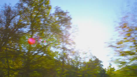 driving on a curvy mountain road on a beautiful autumn day. pov shot from the side window of a car,  hand-held camera, shot against the sun