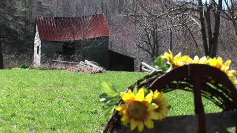 medium shot of artificial sunflowers in a field near a dilapidated mountain cabin