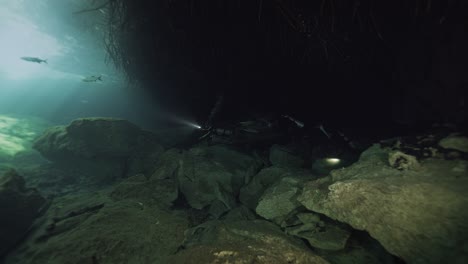 stunning underwater hdr footage filmed in casa cenote near tulum, mexico. the video features crystal-clear freshwater, dramatic sunbeams piercing through the water. shot in 4k hdr with sony fx3 in