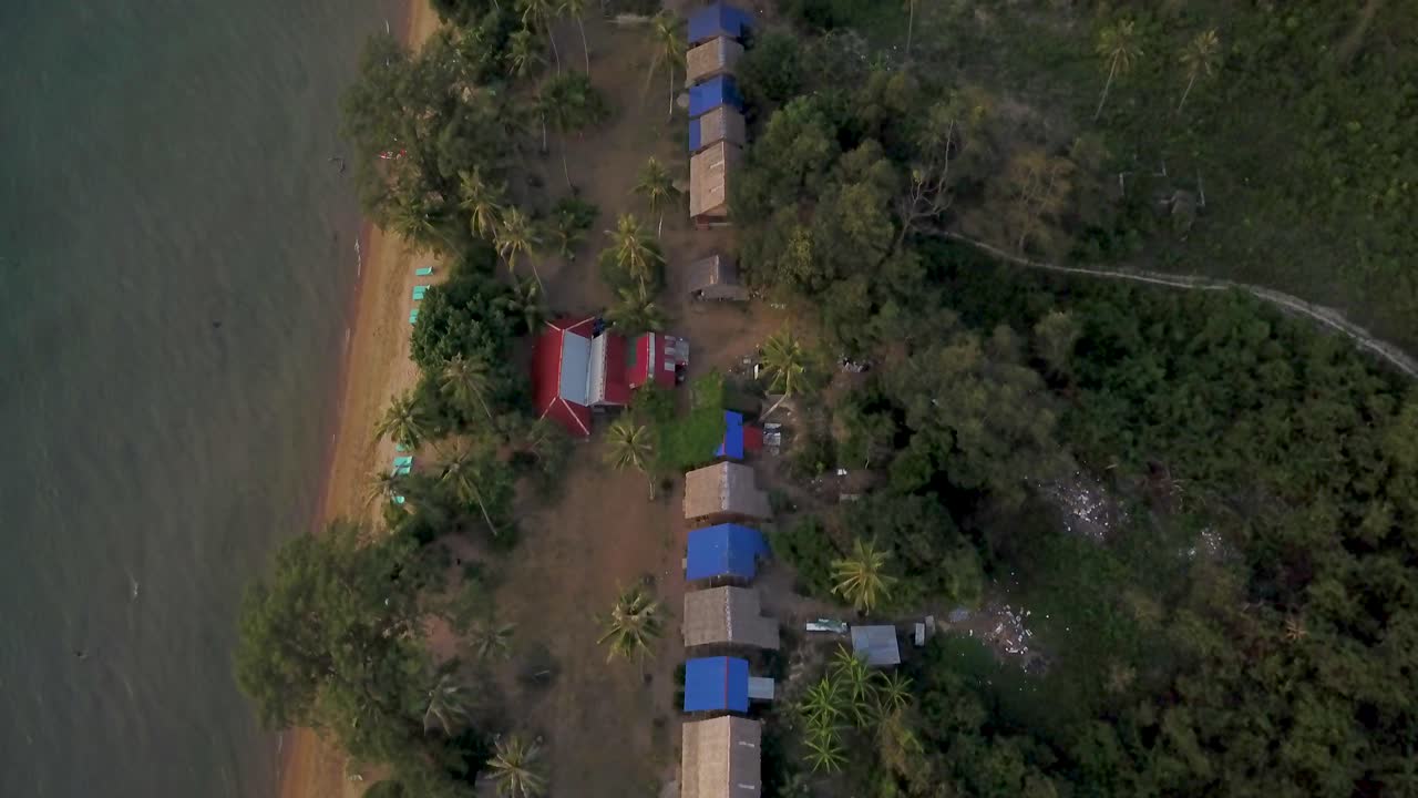 Aerial view of tropical coastline with houses and trees