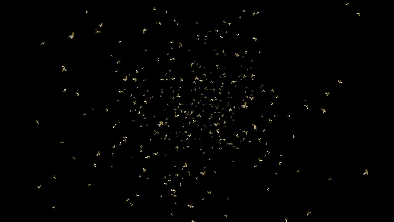 4k 루프 배경: 여름 자연에서 날아다니는 벌 곤충의 벌 가족