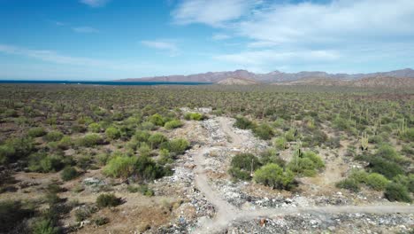 Garbage-Lining-the-Road-Detracts-From-the-Beauty-of-the-Desert-Landscape-in-Mulege,-Baja-California-Sur,-Mexico---Drone-Flying-Forward