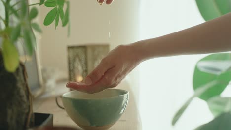 hands gently hover over a bowl of water in a peaceful, sunlit room