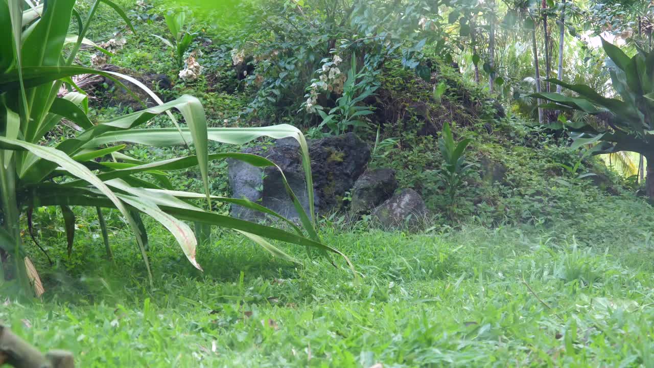 작업 중 인 잡초 를 먹는 기계 의 근접적 인 모습