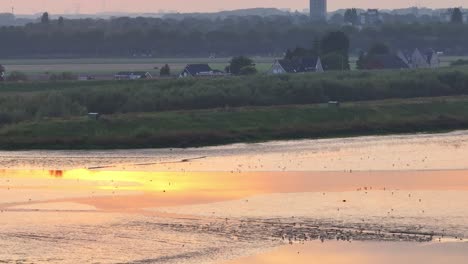 Distant-city-background