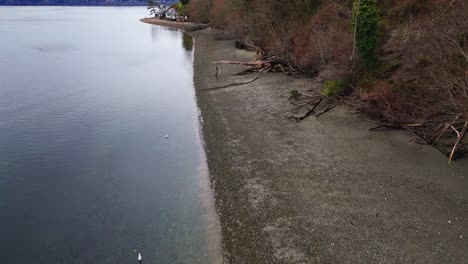 aerial view forward shot of coastline and seagulls in gig harbor, washington state