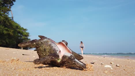 Ein-Stabiler-Noch-Nahaufnahme-Einer-Muschelschale,-Während-Eine-Kaukasierin-Mit-Bikini-Und-T-Shirt-Von-Der-Kamera-Weggeht,-Mit-Wilden-Alten-Wäldern,-Die-Direkt-Auf-Den-Strand-Blicken