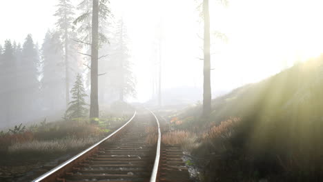 empty railway goes through foggy forest in morning