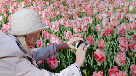 girl takes a photo of beautiful tulips