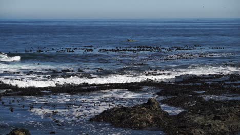 Kayaking-in-the-ocean,-rocky-shore-4K