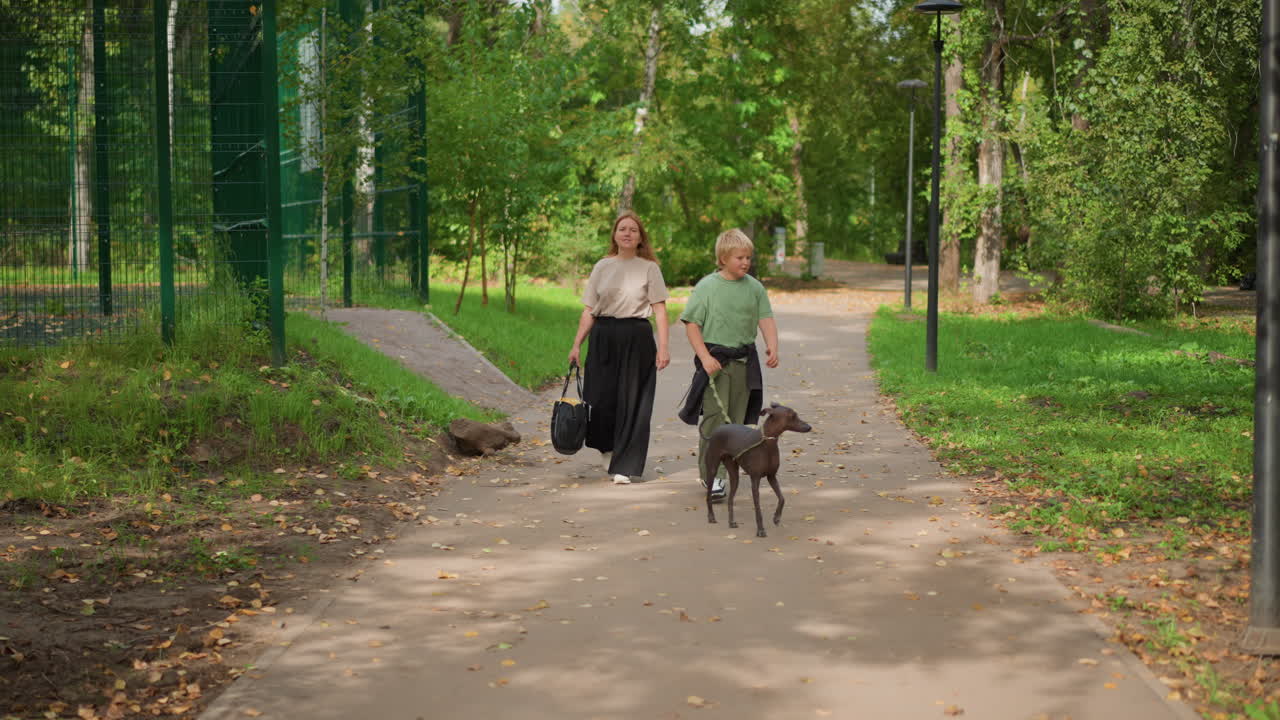 Female Adult And Child Walking Dog Peacefully, Woman With Young Boy Taking Stroll With Pet In Park Setting, Woman And Her Young Boy Walk Their Dog Along Shaded Park Trail Peacefully
