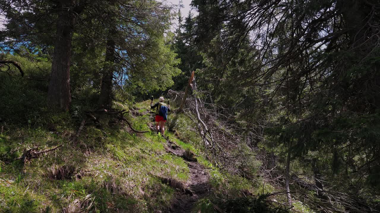 chica turista ascendiendo por la ruta de senderismo en el bosque en el parque nacional de las montañas de eslovaquia, tiro estático