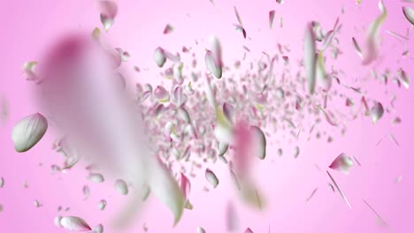 el loto rosado volando.