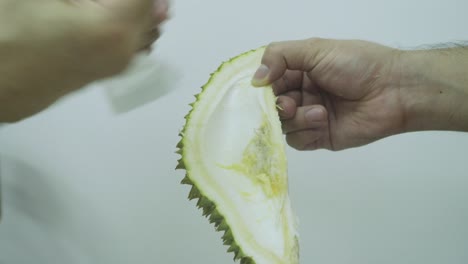 view of two men hand taking the mao shan wang durian fruit interior - close up