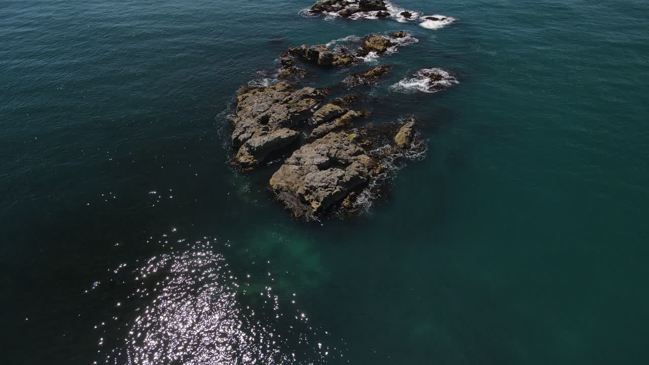 Librandosi sopra una barriera rocciosa a Kaikoura, Nuova Zelanda