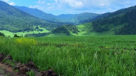 breathtaking landscape: expansive views of lush green fields and rolling hills under a bright blue sky, capturing the beauty of nature's serenity