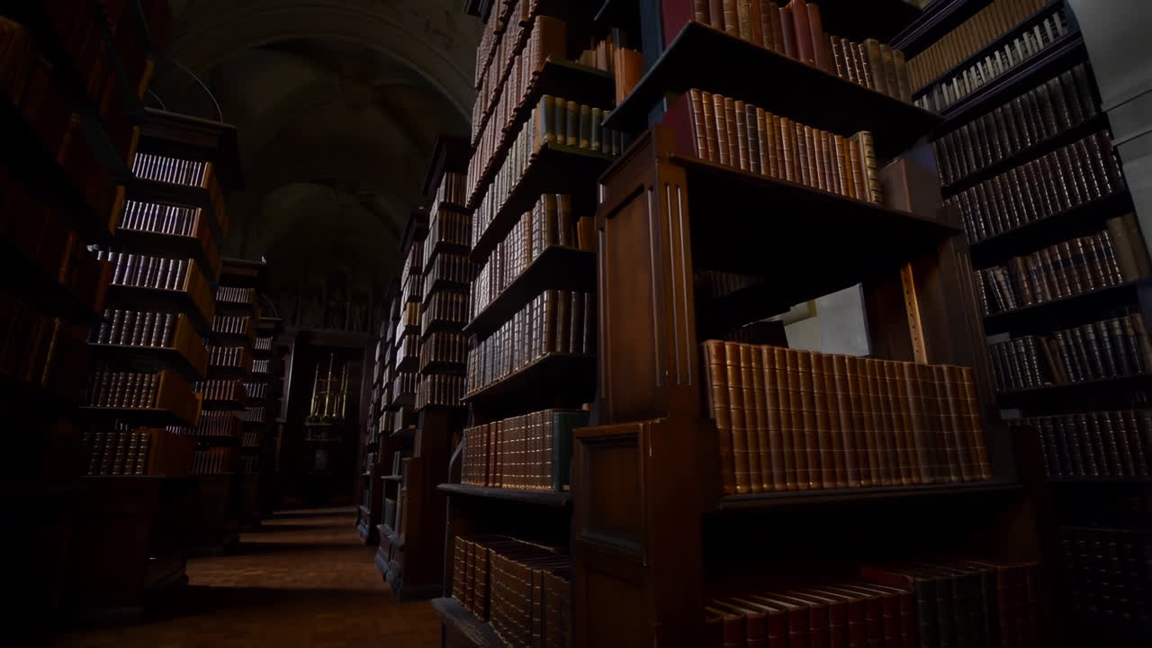 A view of towering bookshelves filled with old books in a grand library