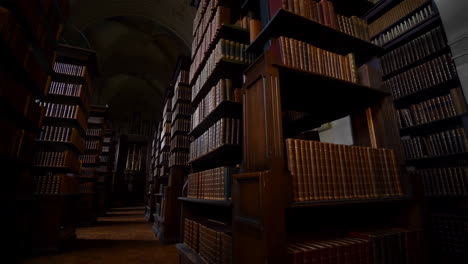 a view of towering bookshelves filled with old books in a grand library