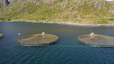 Imágenes-Aéreas-De-Una-Granja-De-Pesca-De-Salmón-En-Noruega