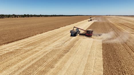 experience the precision and power of a large-scale grain harvesting operation as the fields come alive with activity