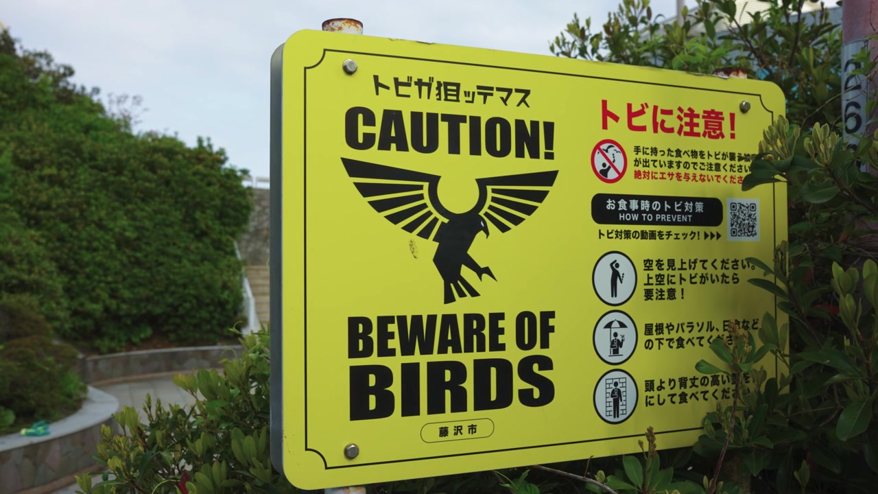 Enoshima Bird Warning Sign in Fujisawa City, Kanagawa Japan