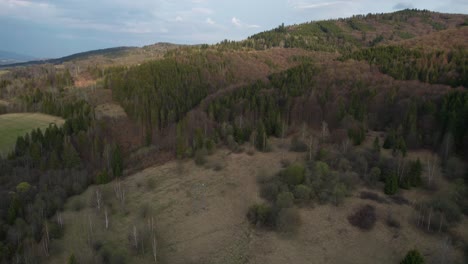 toma aérea de establecimiento de los densos bosques en las montañas inferiores de los tatras, eslovaquia
