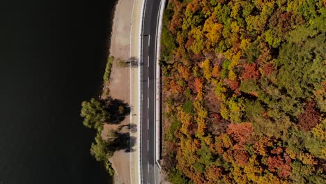 Drone-Aéreo-De-Arriba-Hacia-Abajo-Sobre-La-Carretera-Al-Lado-Del-Lago-Con-Hermoso-Follaje-De-Otoño