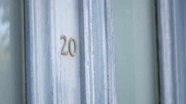 Primo Piano del Numero Civico 20 su una Porta Blu