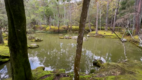 lake with dense moss-covered nature in saihoji temple in katsura, south west kyoto, japan